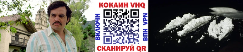 Купить где  Семёнов  COCAIN Fish Scale 