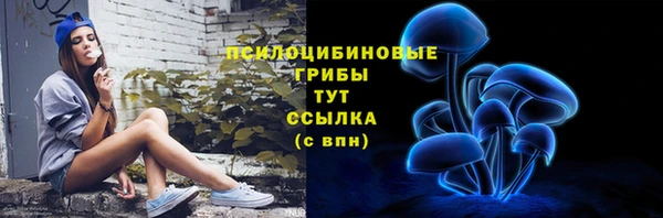 твердый Карпинск