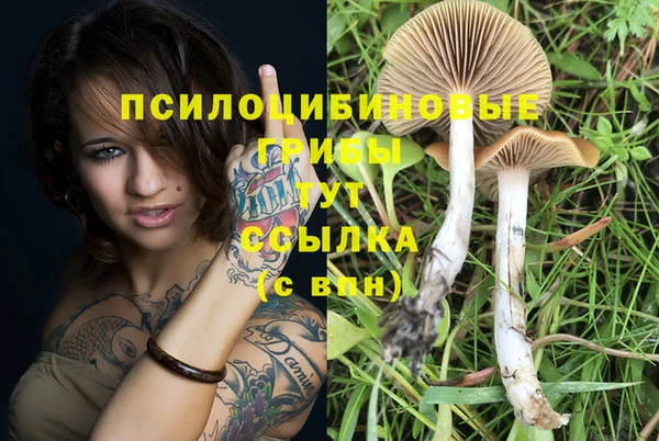 твердый Карпинск