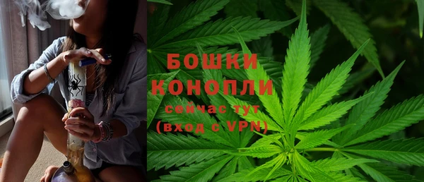 твердый Карпинск